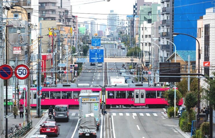 6区 見どころ写真